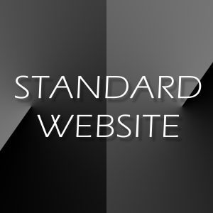 2-STANDARD WEBSITES