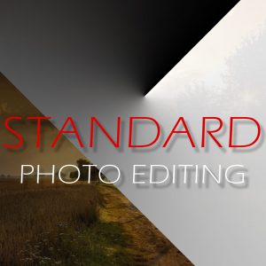 2-PHOTO EDITING-STANDARD